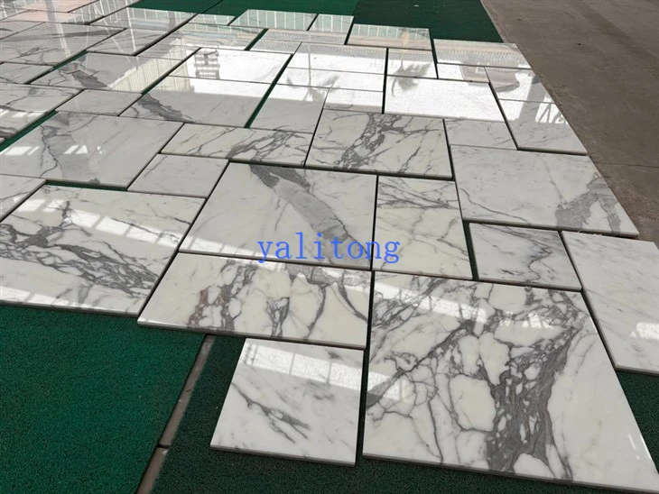 Calacatta tiles 600x600