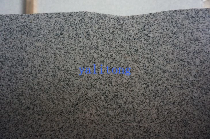 Light Grey New Quarry Granite Slabs